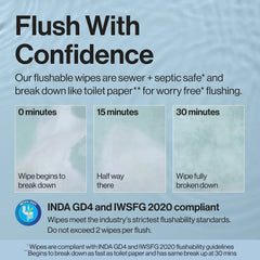 The Honest Company Flushable Wipes - 126ct