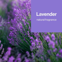 The Honest Company Sanitizing Hand Wipes Lavender Field - 15ct