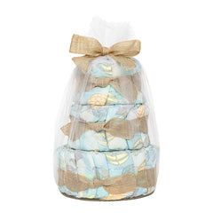 The Honest Company Clean Conscious Diaper Cake - Above It All - 39ct