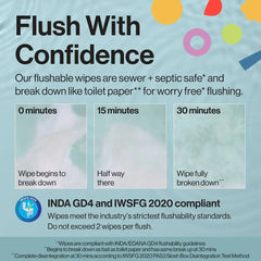 The Honest Company Plant-Based Baby Wipe - Little Flushable Wipes